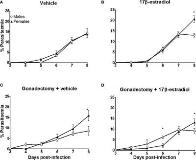 17β-Estradiol Is Involved in the Sexual Dimorphism of the Immune Response to Malaria